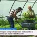 agricultura RTP