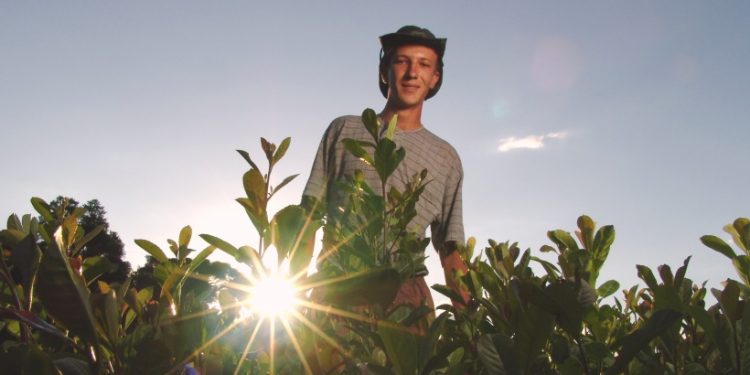 jovem agricultor