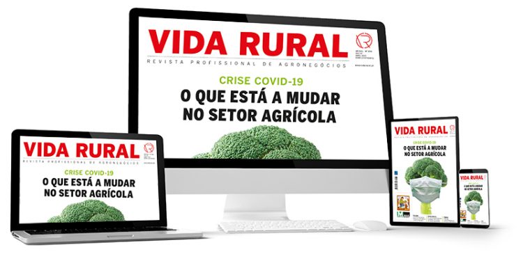vida rural