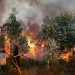 incêndio