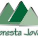 Floresta Jovem