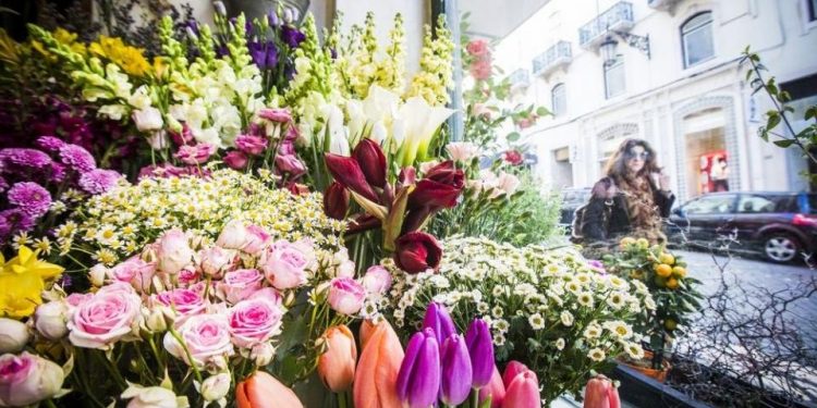 flores