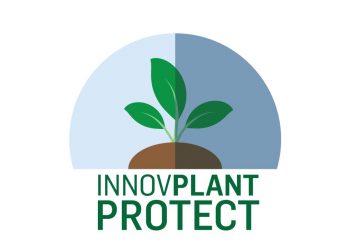 innovplantprotect