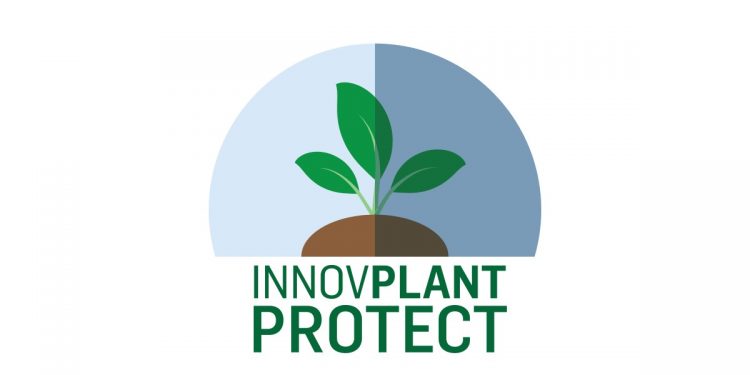 innovplantprotect