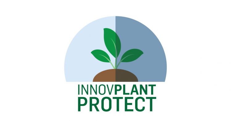 innovplantprotect