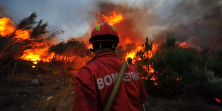 bombeiro apagar fogo