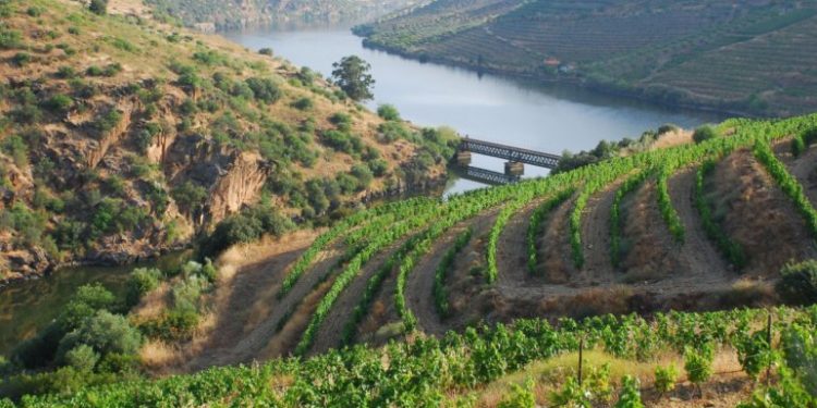 douro