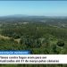 floresta RTP