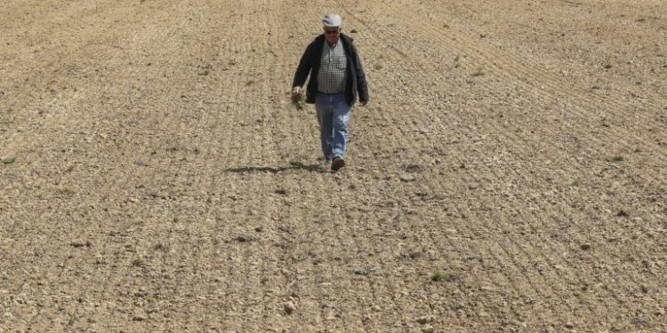 agricultor