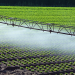 Agricultura de precisão