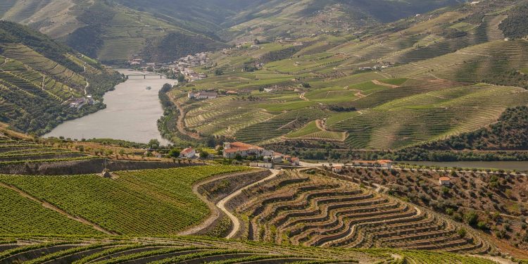 douro