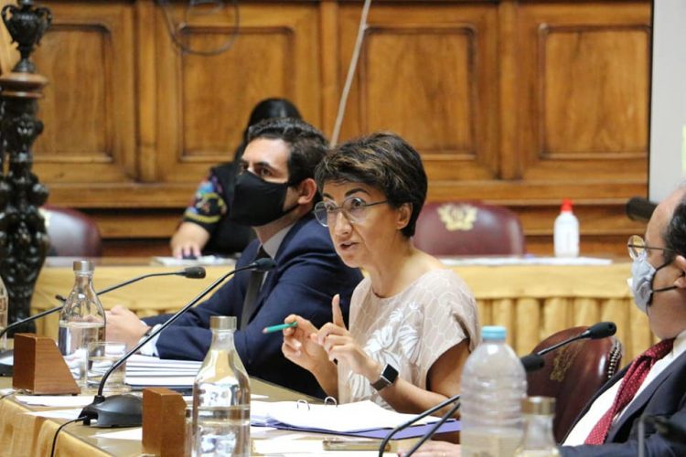 Maria do Céu Antunes parlamento