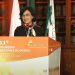 Maria do Céu Antunes anpromis ISA