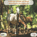 catalogo raças autóctones