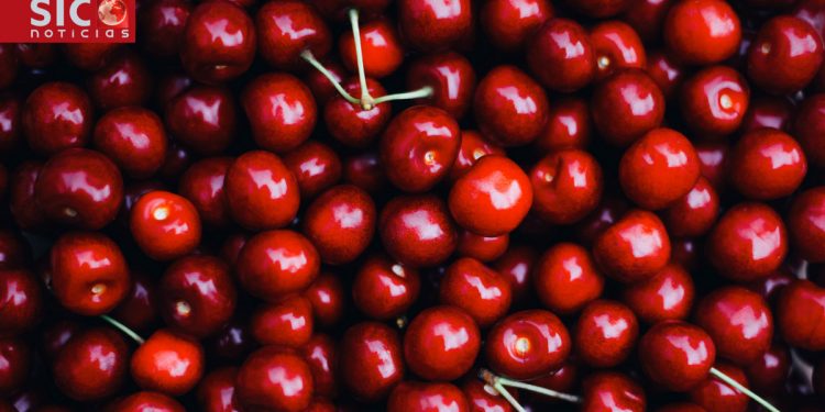 cerejas