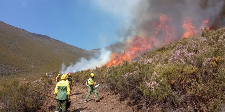 fogo controlado icnf