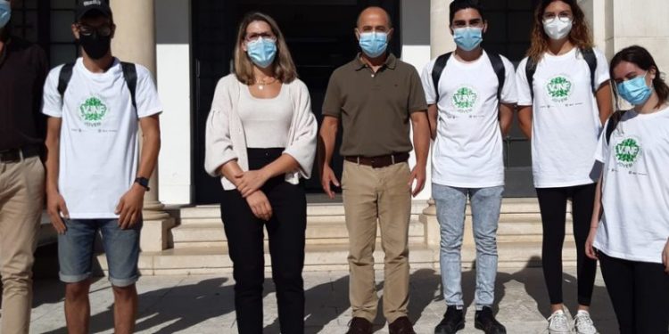 ansiao voluntariado