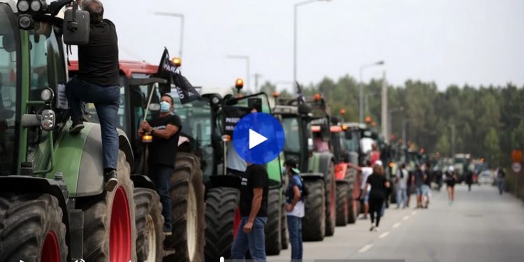 protesto trofa leite rtp