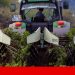 vindima mecanica