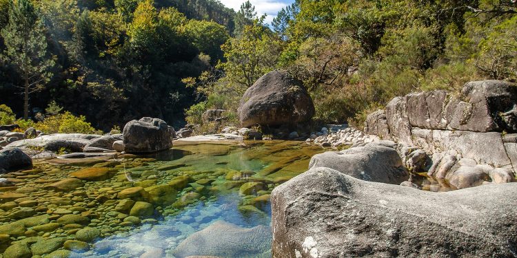 agua florestas