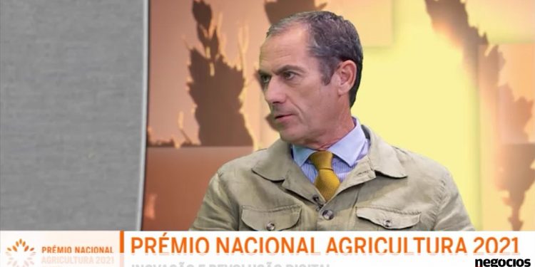 luis mira