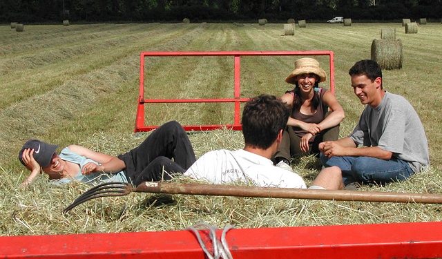 jovens agricultores