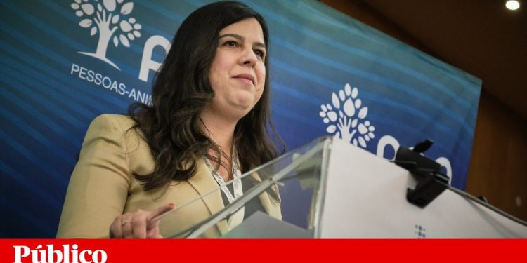 ines sousa real publico