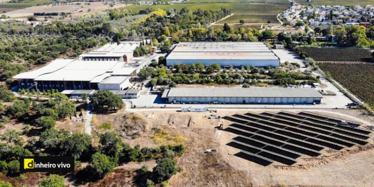 paineis solares