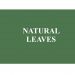 natural leaves