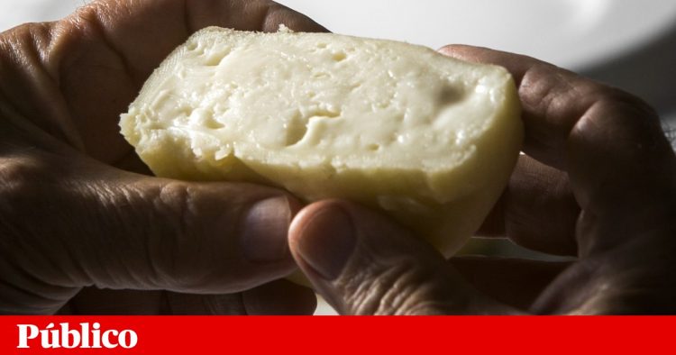 queijo azeitao