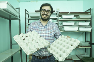 Fernando Marques, da BugLife, cria grilos em Tomar. Assim que puder, há de vendê-los desidratados, com sabor a alho ou a cebola