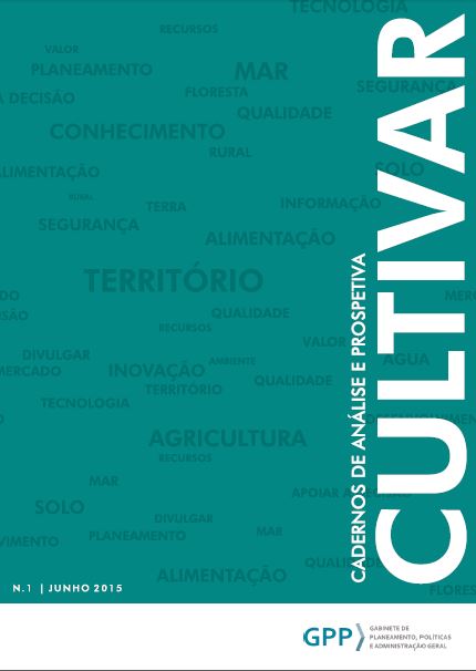 Capa 1