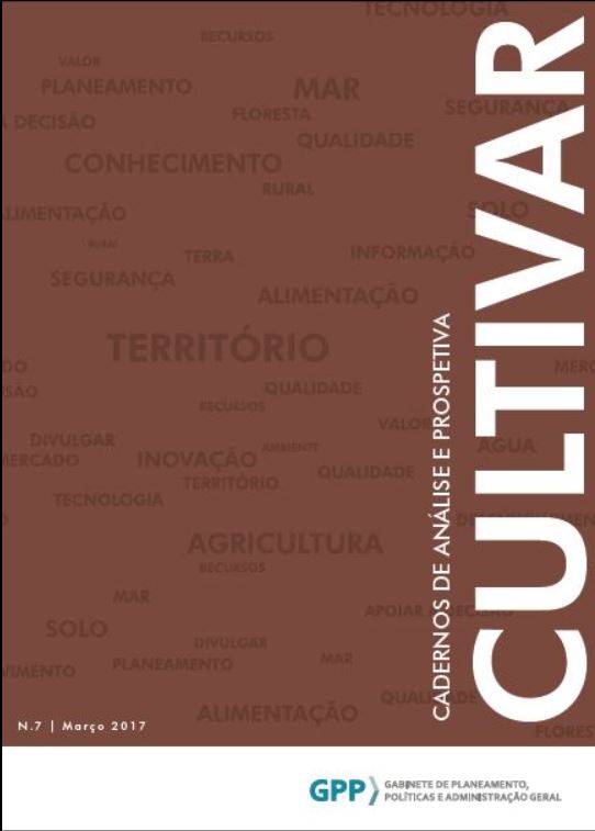 Capa 7