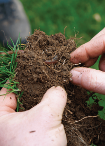 El suelo en la agricultura y su biodiversidad