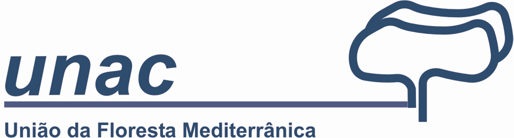 Logotipo fundo branco