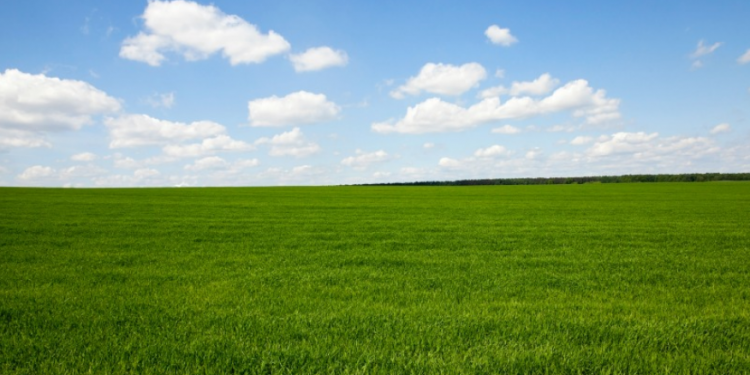 agricultura