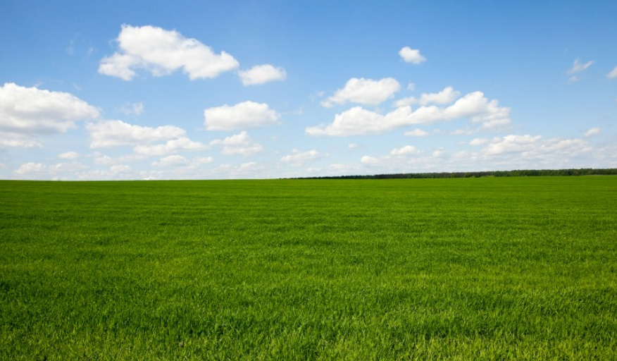 agricultura