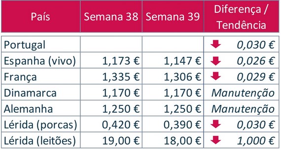bolsa porco 38