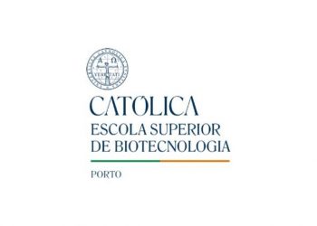 universidade catolica