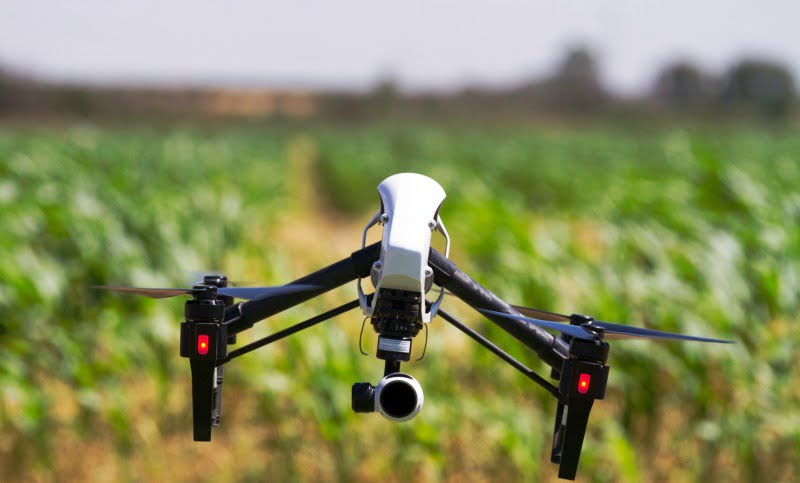 Fundação para a Ciência e Tecnologia vai financiar laboratório de soluções digitais para a agricultura