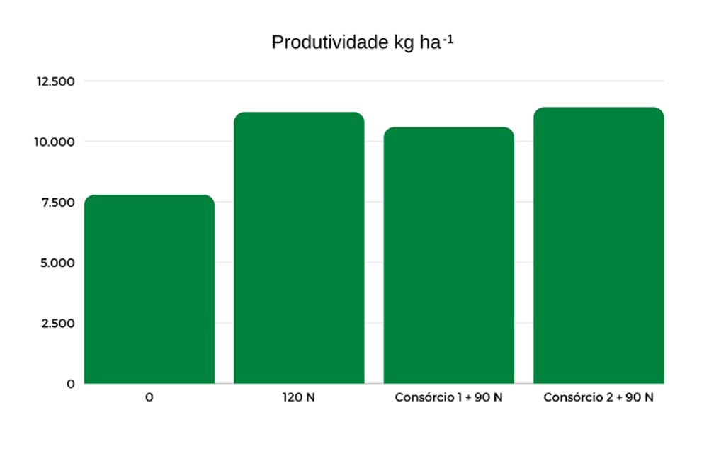 consorcio bacteriano produtividade arroz