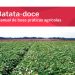 manual batata doce