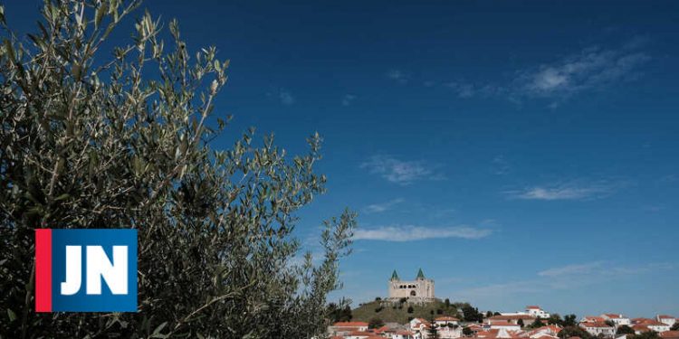 porto mos jn