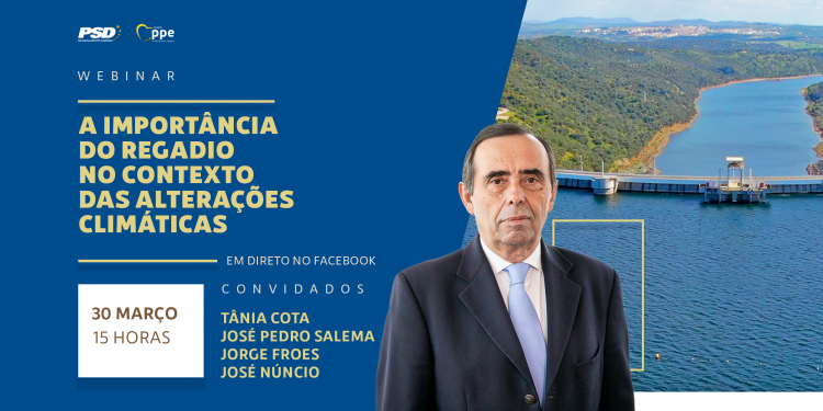 Webinar - Regadio - Álvaro Amaro