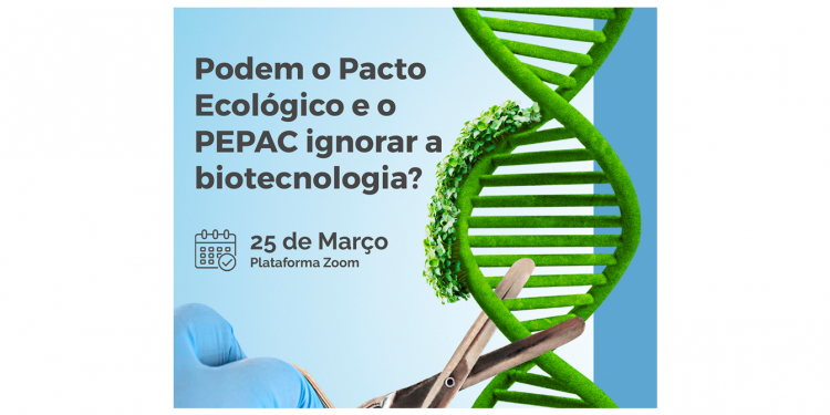 Cartaz