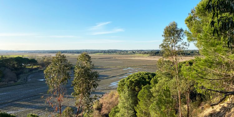 Terreno Águas de Moura