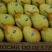 pêra rocha do Oeste