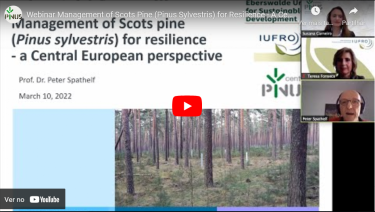 Webinar "Pinheiro Silvestre da Europa Central"