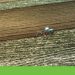 agricultura