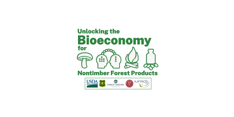 Webinar IUFRO: Uso de produtos florestais não lenhosos em sistemas agroflorestais